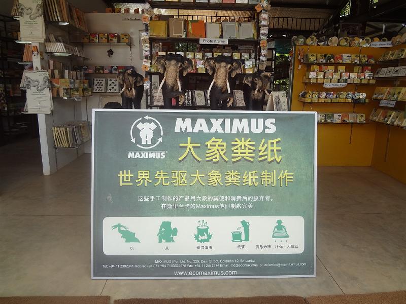 DSC03263.JPG - Sep 8-12, 2014 孤兒象園(收容被大象媽媽遺棄的大象寶寶，參觀大象寶寶洗澡、餵食等) (斯里蘭卡，Pinnawela) [Elephant Orphange, Pinnawela, Sri Lanka]-96